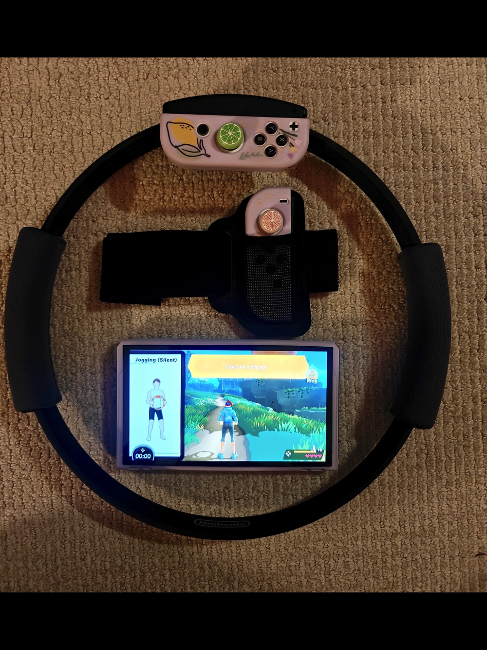 Nintendo Switch Ring Fit Adventure
